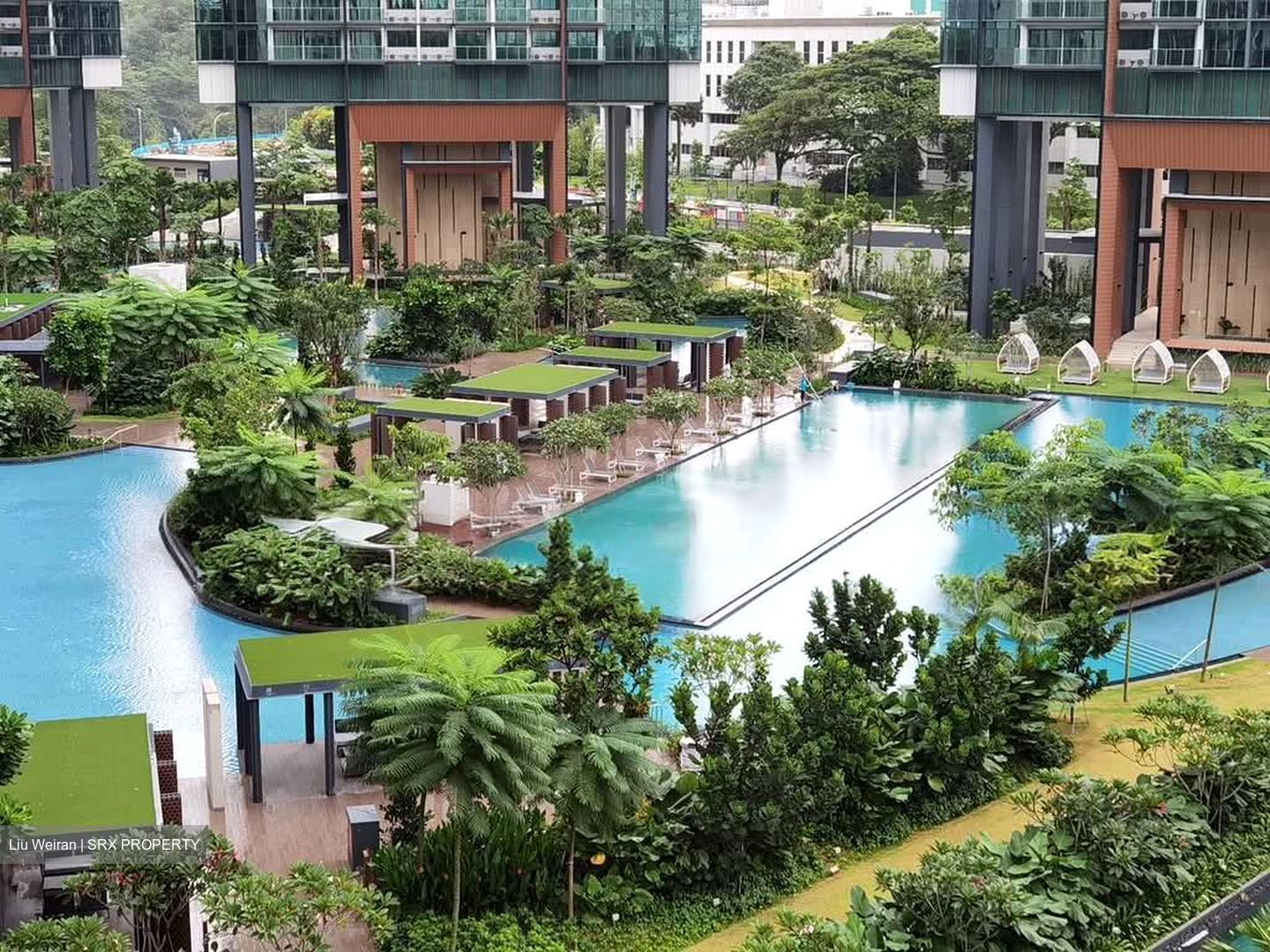 Normanton Park (D5), Apartment #582787541